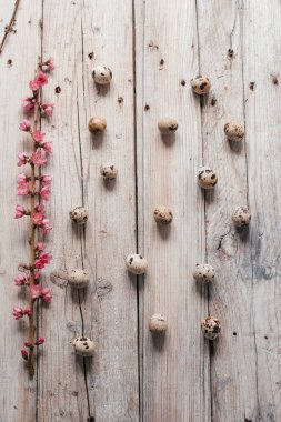 Ahşap arka planda bıldırcın yumurtaları