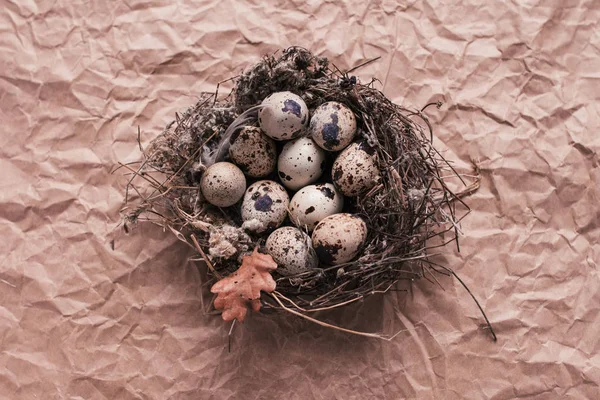 Ninho com ovos de codorna de Páscoa no fundo de papel artesanal — Fotografia de Stock