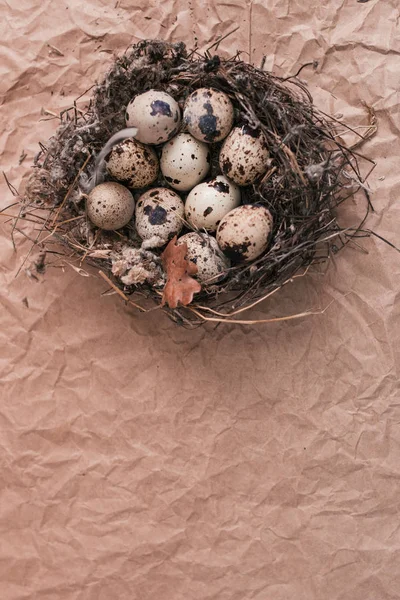 Nido con uova di quaglia pasquali su sfondo di carta artigianale — Foto Stock