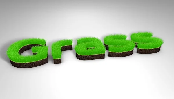 De inscriptie botanische 3D-rendering, gazon gras — Stockfoto