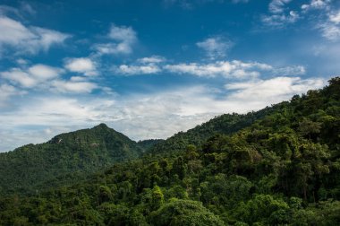 Dağlar sahne arka plan. Milli Park ormanda. 