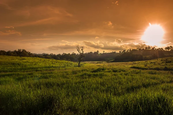 Vista del paisaje forestal del Parque Nacional Khao Yai, Tailandia — Foto de Stock