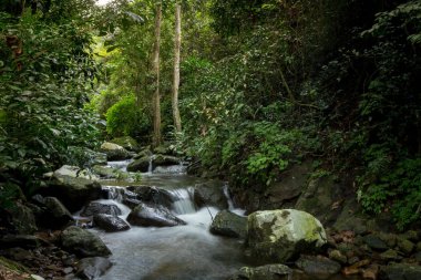 Krak - E - Dok şelale Khao Yai Milli Parkı, Tayland at, sonbahar orman şelale.