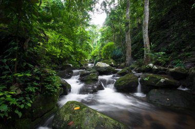 Krak - E - Dok şelale Khao Yai Milli Parkı, Tayland at, sonbahar orman şelale.