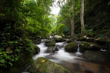 Krak - E - Dok şelale Khao Yai Milli Parkı, Tayland at, sonbahar orman şelale.