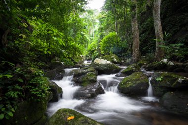 Krak - E - Dok şelale Khao Yai Milli Parkı, Tayland at, sonbahar orman şelale.