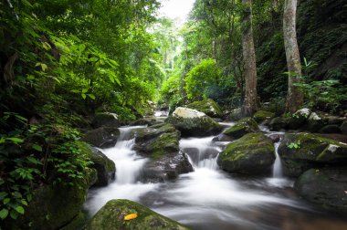 Krak - E - Dok şelale Khao Yai Milli Parkı, Tayland at, sonbahar orman şelale.