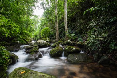 Krak - E - Dok şelale Khao Yai Milli Parkı, Tayland at, sonbahar orman şelale.