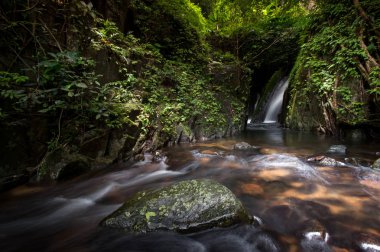 Krak - E - Dok şelale Khao Yai Milli Parkı, Tayland at, sonbahar orman şelale.