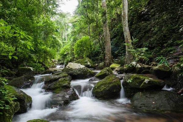 Cascada en el bosque de otoño en la cascada Krok - E-Dok en el Parque Nacional Khao Yai, Tailandia . — Foto de Stock