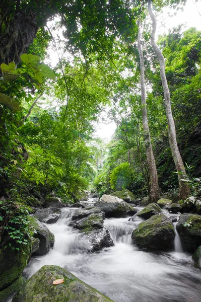 Cascada en el bosque de otoño en la cascada Krok - E-Dok en el Parque Nacional Khao Yai, Tailandia . — Foto de Stock