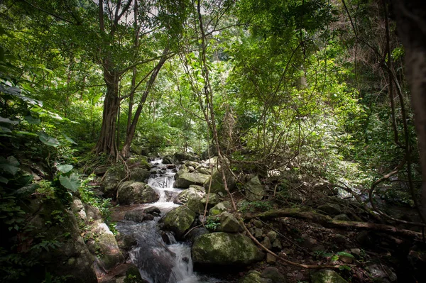 Водоспад в осінньому лісі на крок - Водоспад E - Dok національного парку Кхао Яї, Таїланд. — стокове фото