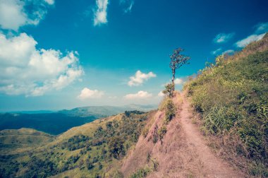 Hill ve mavi gökyüzü doğada ağaçta