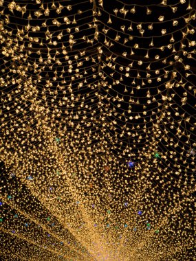 Nabana hiçbir Sato Bahçe gece kış, Mie, Japan