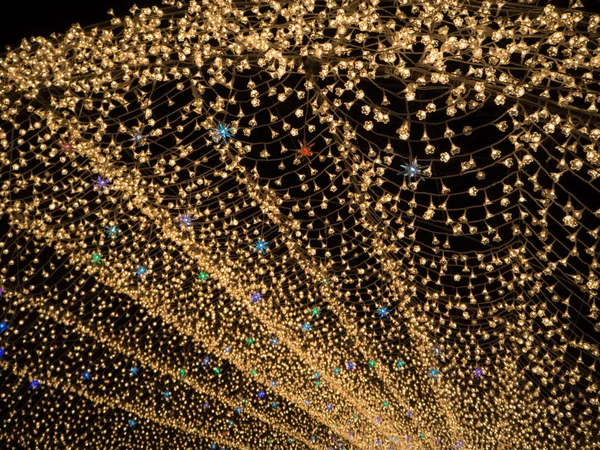 Nabana ingen Sato trädgård nattetid på vintern, Mie, Japan — Stockfoto