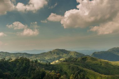 Yaz manzara. Yeşil tepe ve orman Tayland mavi gökyüzünde