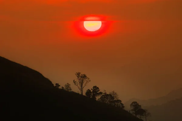 カラフルな空を背景に美しい夕日太陽と木のシルエット、山の夕日. — ストック写真