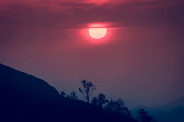 Puesta de sol en las montañas, silueta del árbol con el sol puesta del sol escénico sobre el fondo colorido del cielo . —  Fotos de Stock