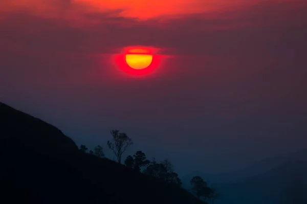 Coucher de soleil dans les montagnes, silhouette d'arbre avec coucher de soleil pittoresque soleil sur fond de ciel coloré . — Photo