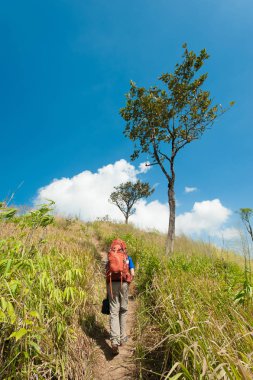 Dağlarda, Thongphaphum Milli Parkı Tayland trekking