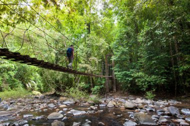 doğa iz, yol ahşap köprü derin orman (Milli Parkı, Tayland ile)