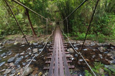doğa iz, yol ahşap köprü derin orman (Milli Parkı, Tayland ile)
