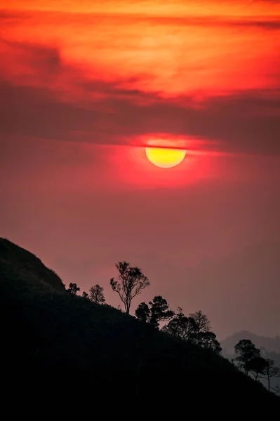 カラフルな空を背景に美しい夕日太陽と木のシルエット、山の夕日. — ストック写真