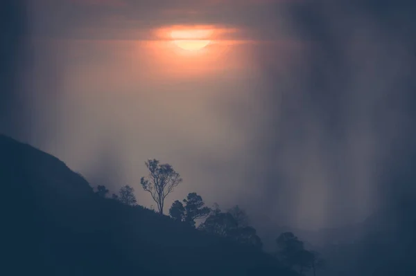 Árvore de silhueta e monutanas fundo céu laranja, no tempo pôr-do-sol estilo Vintage — Fotografia de Stock