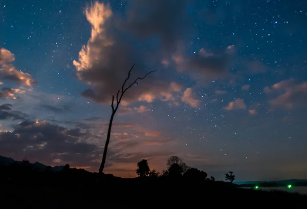Silueta de árbol seco en la noche, con el cielo estrellado en el fondo en Tailandia — Foto de Stock
