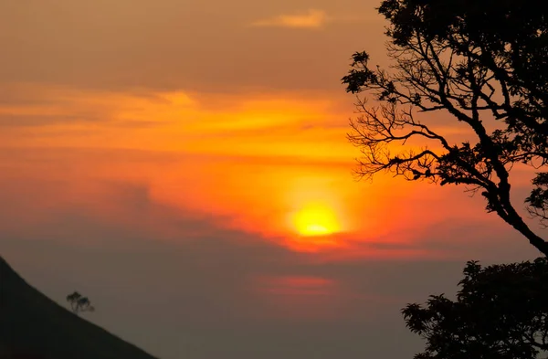 Coucher de soleil dans les montagnes, silhouette d'arbre avec coucher de soleil pittoresque soleil sur fond de ciel coloré . — Photo