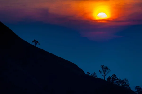 Coucher de soleil dans les montagnes, silhouette d'arbre avec coucher de soleil pittoresque soleil sur fond de ciel coloré . — Photo