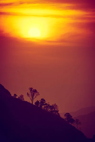 Pôr do sol nas montanhas, silhueta de árvore com sol cênico sobre fundo colorido céu . — Fotografia de Stock