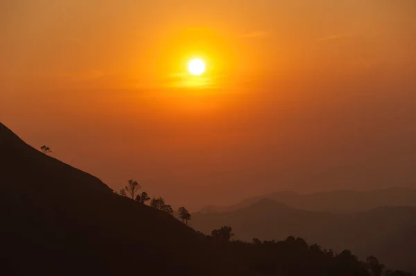 Coucher de soleil dans les montagnes, silhouette d'arbre avec coucher de soleil pittoresque soleil sur fond de ciel coloré . — Photo