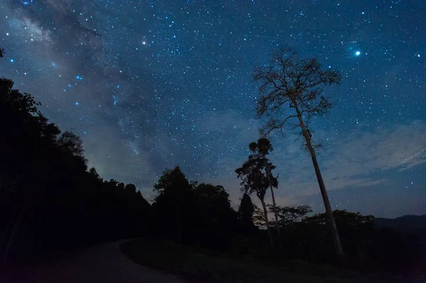 Hermosa galaxia de la Vía Láctea en el cielo nocturno en el parque forestal — Foto de Stock