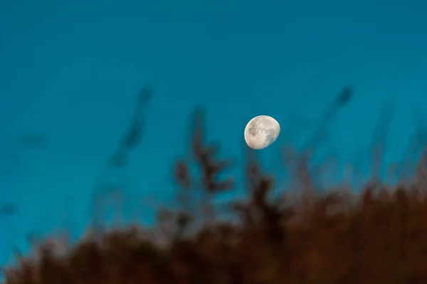 Sentier de prairie sur la colline de montagne la nuit dans la lumière de la lune — Photo