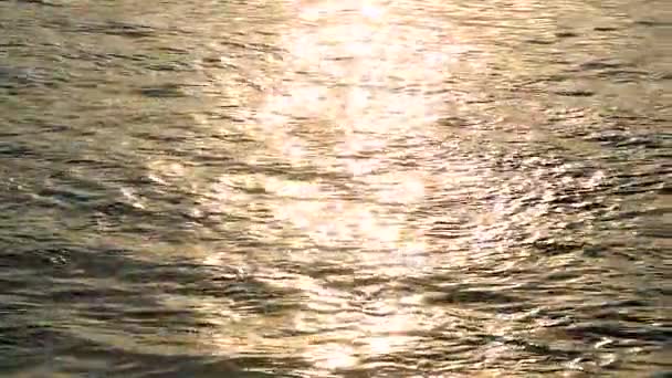 与日落-泰国曼谷公寓河畔班乔佩雅的剪影 — 图库视频影像