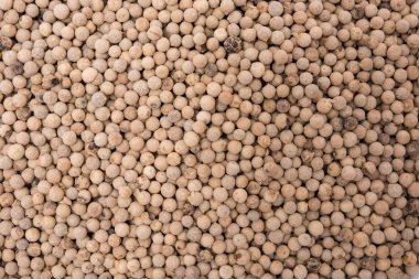 portre olarak kurutulmuş beyaz biber arka plan