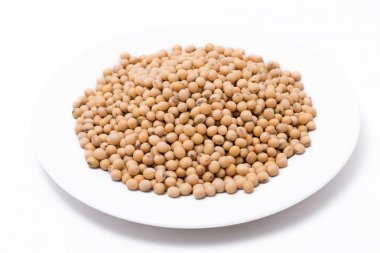 Beyaz arka plan üzerinde kurutulmuş soya fasulyesi