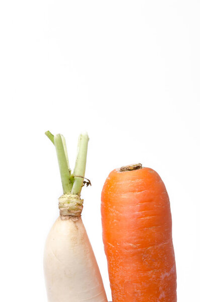 fresh white radish and carrot solated on white background