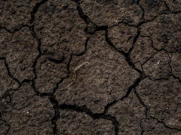 Dried cracked earth soil ground texture background.Crack soil on dry season, Global worming effect.