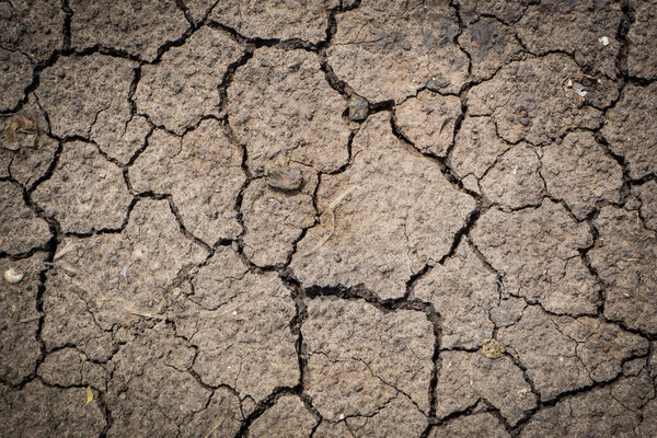 Сушеные трещины почвы текстуры почвы почвы фона.
