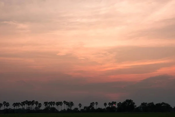 自然日没日の出オベは、田舎でフィールドの夕日 — ストック写真