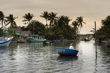 Bir adam Hindistan cevizi ormanı boyunca Hoi An-Vietnam 'da kürek çekiyor.