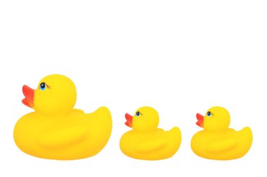 Üst bebek ve beyaz arka plan üzerinde izole yavru ördek