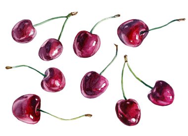 Kiraz. Suluboya resim