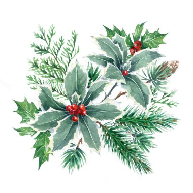Holly ve çam iğneleri
