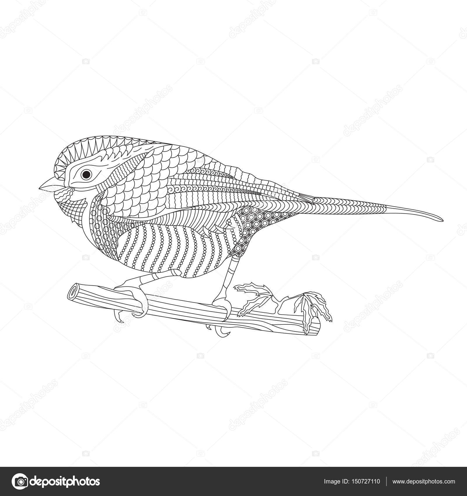 Uccello di fantasia su un ramo Libro da colorare per adulti e bambini Bianco