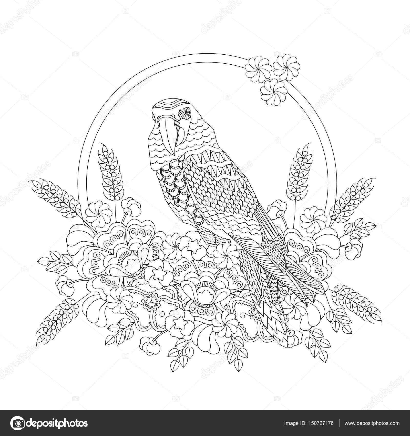 Oiseau De Fantaisie De Fleurs Livre De Coloriage Pour