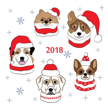 Köpek Santa Claus şapka ve atkı renkli başkanı. Evcil hayvan kümesi: chihuahua, Avustralya çoban köpekleri, Labrador, Pomeranian Spitz. El kroki çizmek. Vektör çizim.
