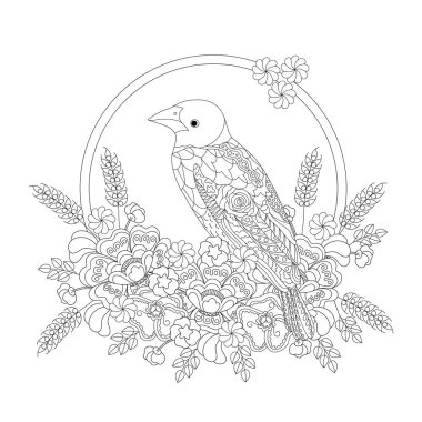 Fantezi çiçekler kuş. Ploceus cucullatus Afrika. Yetişkinler ve çocuklar için boyama kitabı. Siyah ve beyaz vektör çizim.